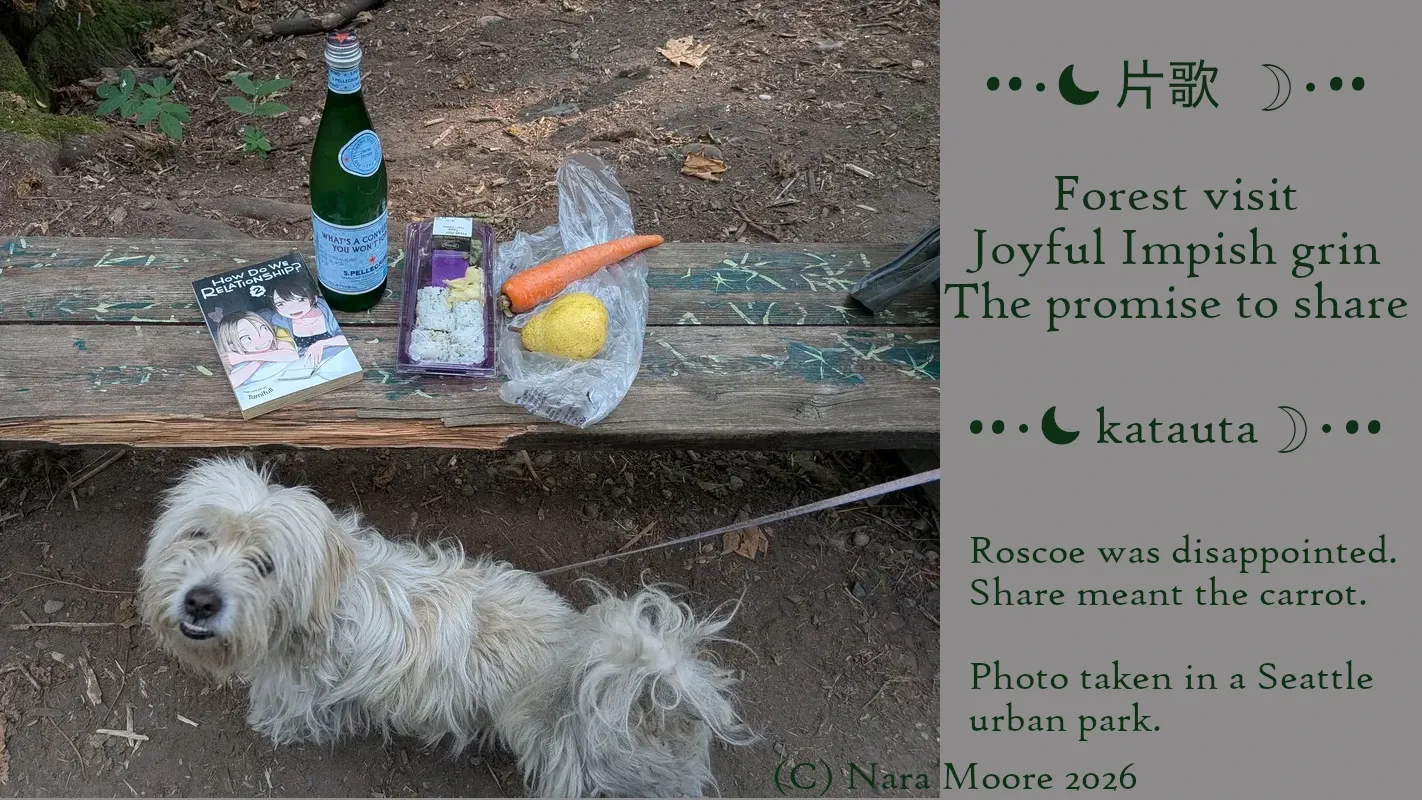 White dog in front of bench with picnic lunch on it.