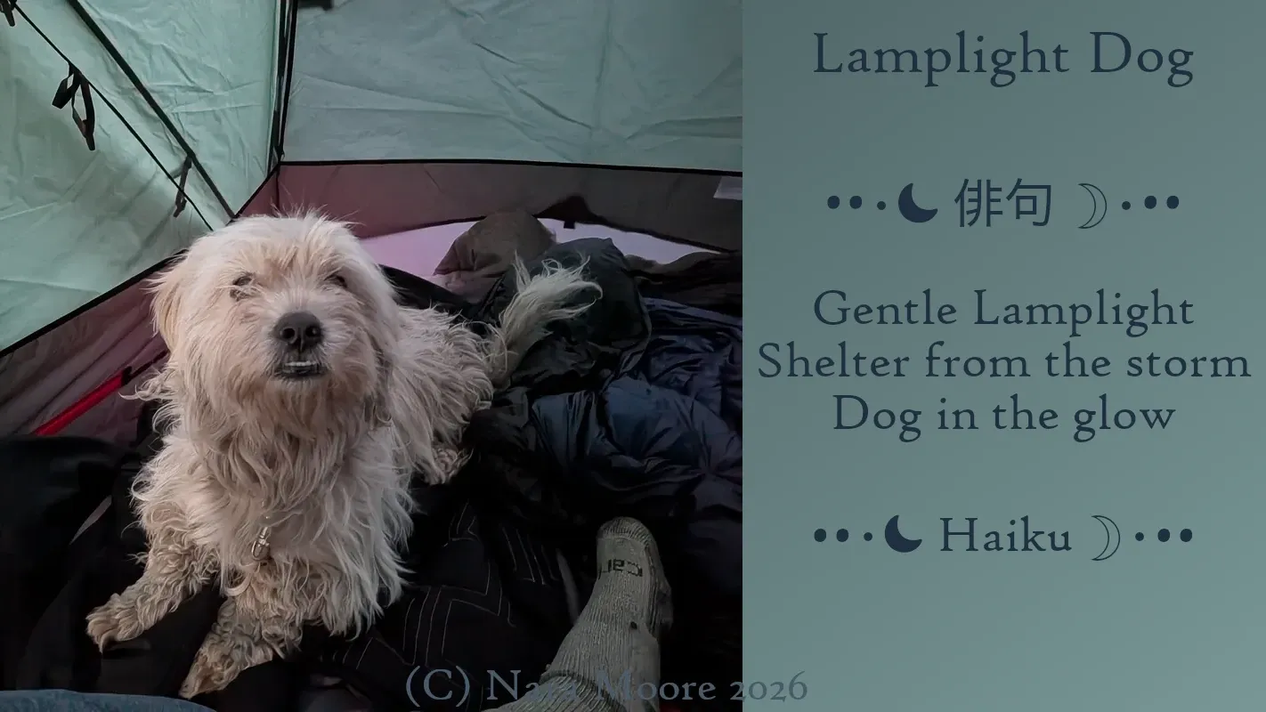 Image of a dog in a lantern-lit tent

Poem:

Lantern Dog
••⋅☾ #俳句 ☽⋅••

Gentle Lamplight
Shelter from the storm
Dog in the glow

••⋅☾ #Haiku ☽⋅••